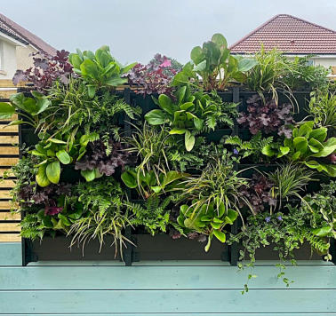 Florent Gardens Landscaping and Garden Design Glasgow Our Work 15