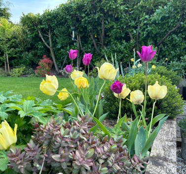 Florent Gardens Landscaping and Garden Design Glasgow Our Work 33