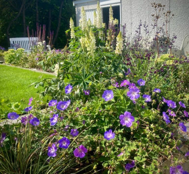 Florent Gardens Landscaping and Garden Design Glasgow Our Work 67