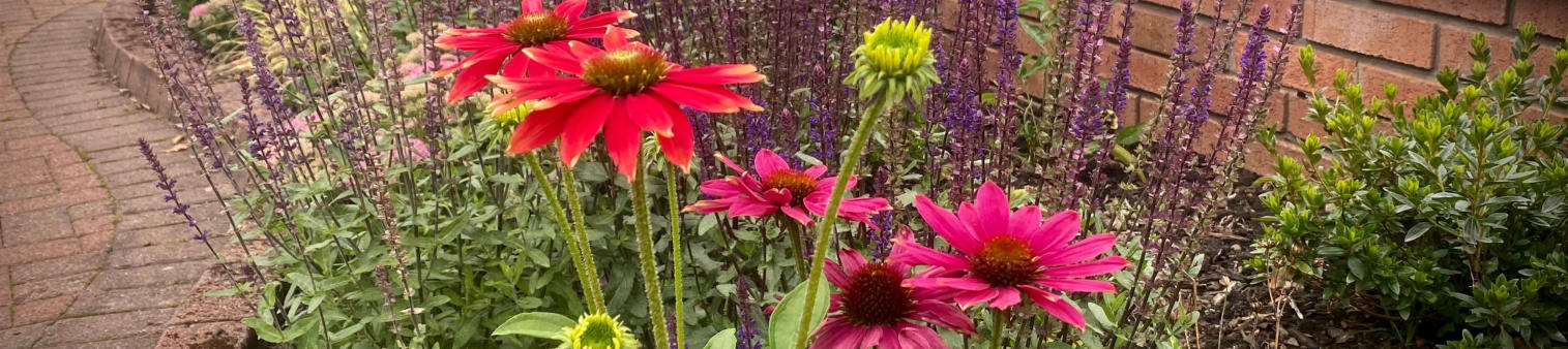 Florent Gardens Landscaping and Garden Design Main Image Services